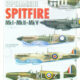 Supermarine Spitfire MkI-MkII-MkV (Avion et pilote 19)